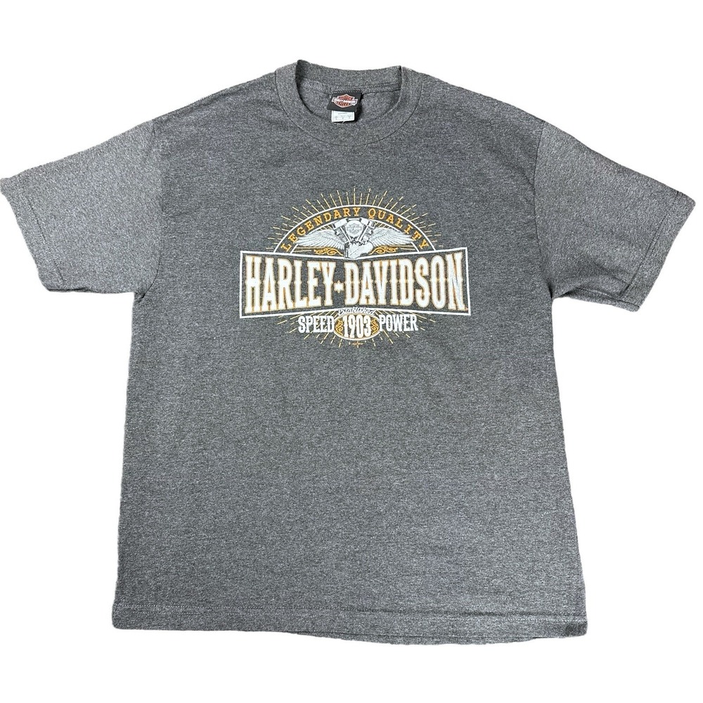 Harley Davidson‎ Budapest Hungary Gray Medium Large T-Shirt Motorcycle